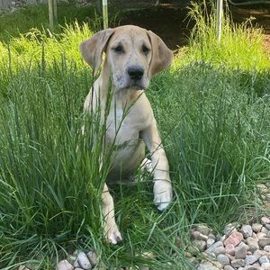 Meet your Posher, Kristen